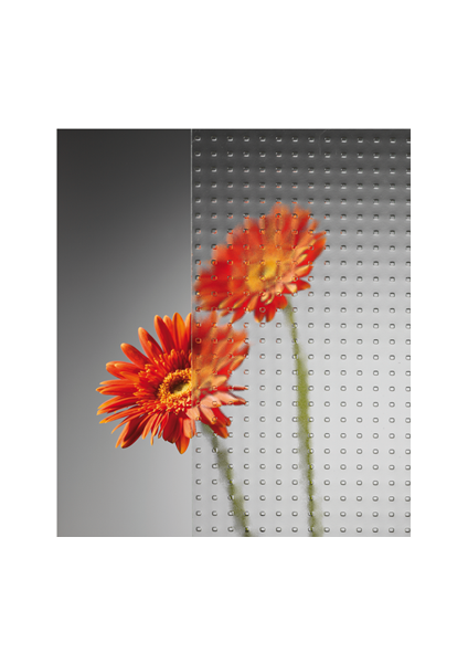 compact Line - Ausstattung - Ornamente